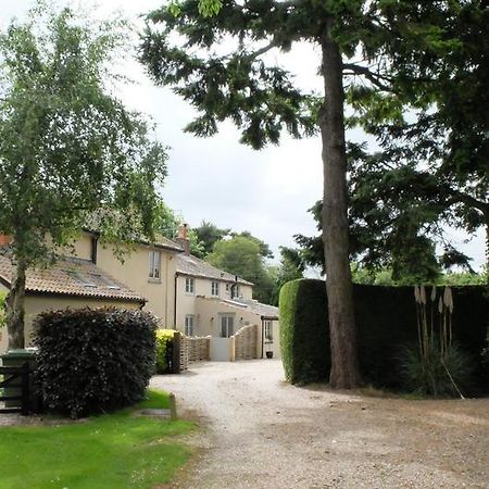 Pippin Heath House B&B Holt  Bagian luar foto