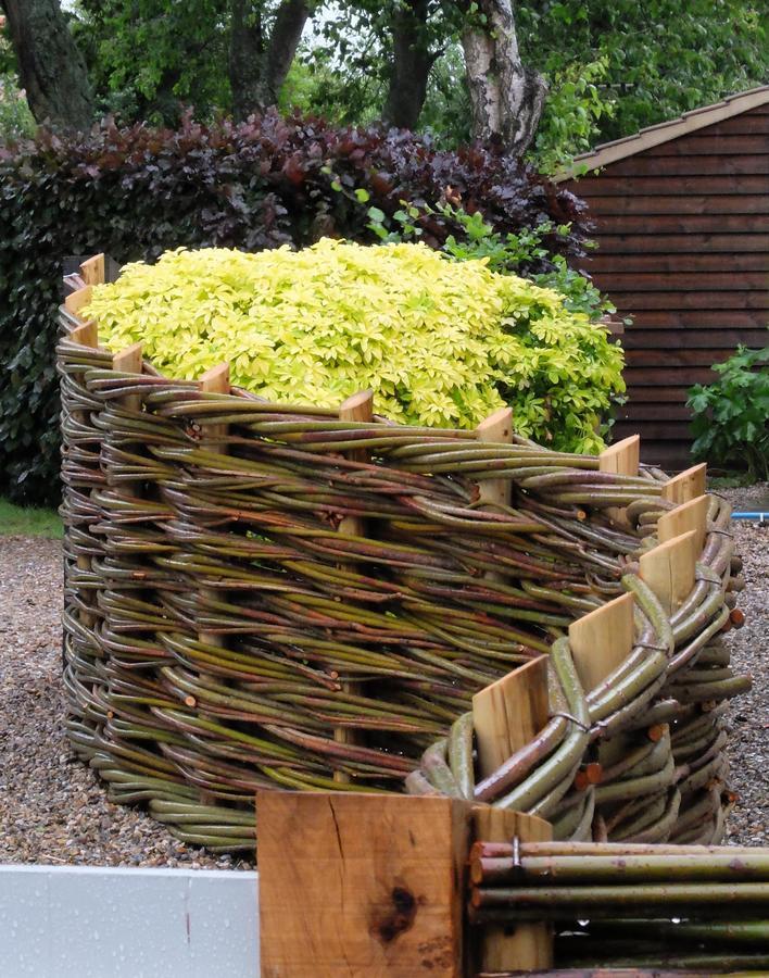 Pippin Heath House B&B Holt  Bagian luar foto