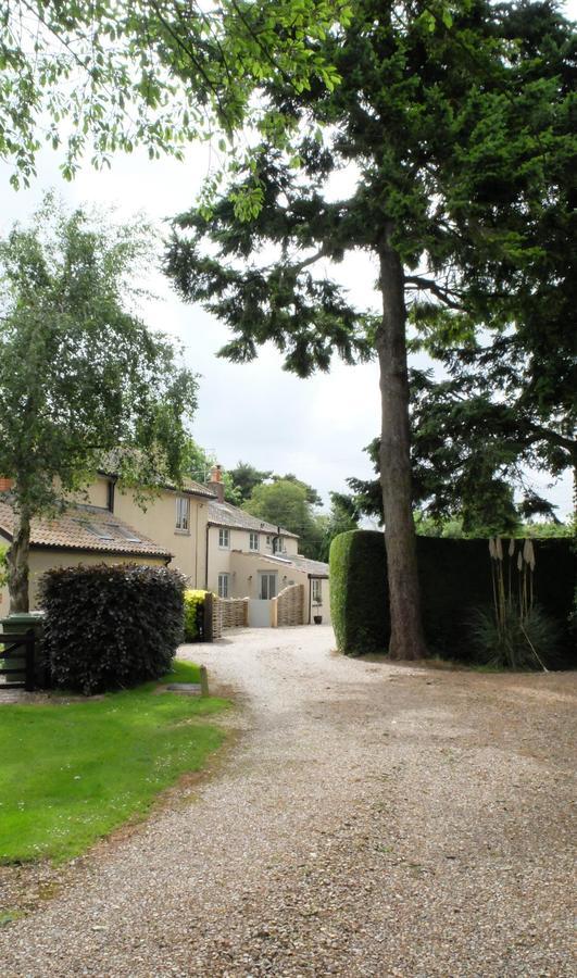 Pippin Heath House B&B Holt  Bagian luar foto